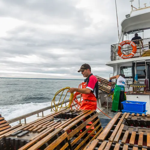 Fisheries in Australia